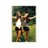 NoortjeHanssenX's profile image