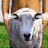 carl_morgan1's profile image