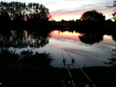 carp fishing