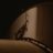 OfficialBikeHLP's profile image