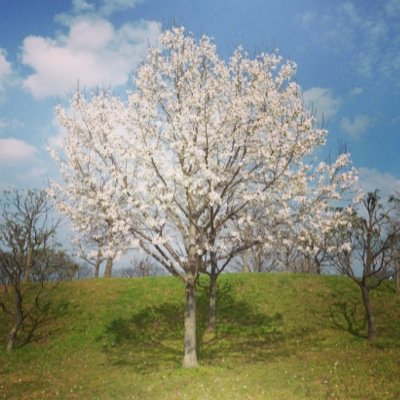 生まれも育ちも奈良の奈良っ娘がつぶやきます