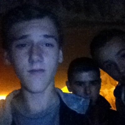WillemHolthaus Profile Picture