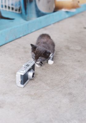 esp7_takuto's profile picture. 