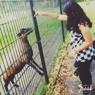 reamxxx's profile picture. Irakees ❤️ 11 jaar ❤️