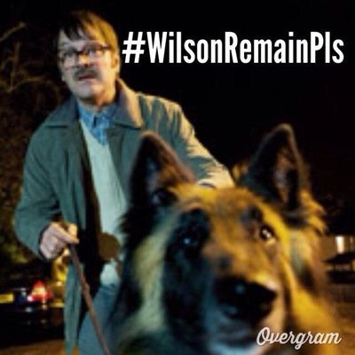 Friday Night Dinner On Twitter Pissface Wilson Doge Dog Meme Fnd Friday Night Dinner Fridaynightdinner Rosentweets Comedyon4 Http T Co Bznwu7rmit