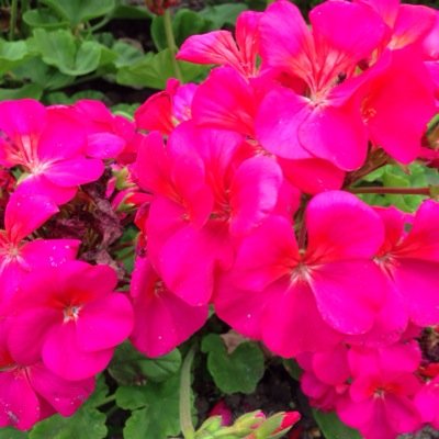 Vincentlinsun's profile picture. 