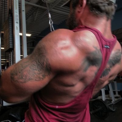 theamoebaman's profile picture. Powerlifter, falconer, nerd, music lover, and most importantly father to the most beautiful little girl.