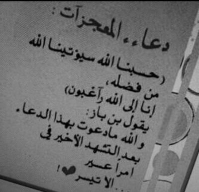 mnmo9911's profile picture. 