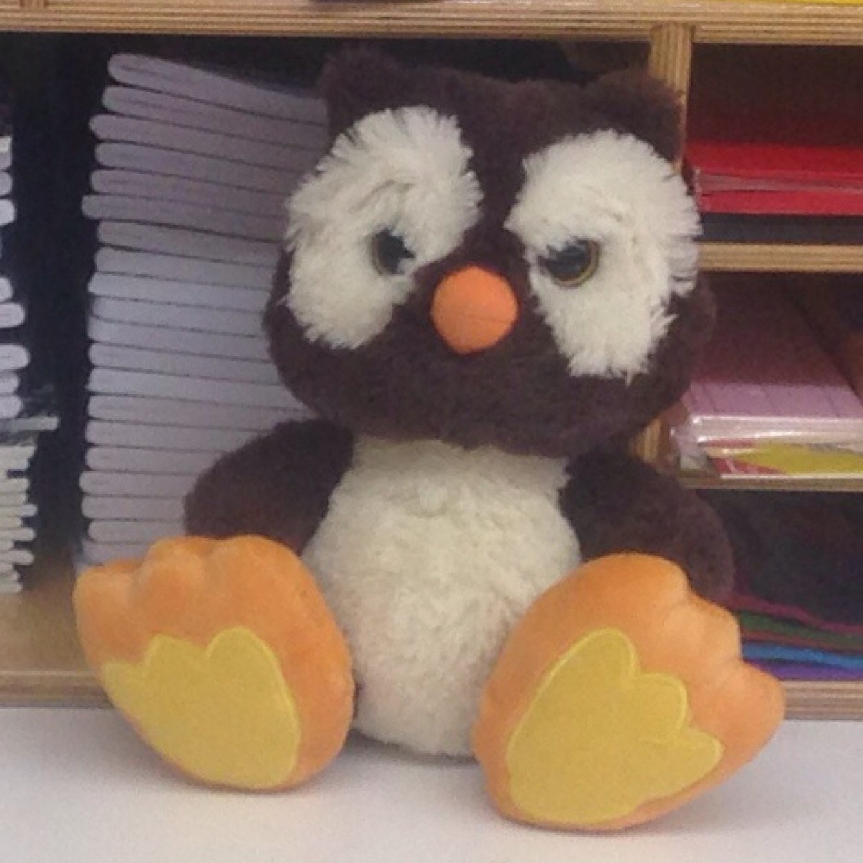 Mrssjacobson's profile picture. We are 1st grade students in Mrs. Jacobson's class.