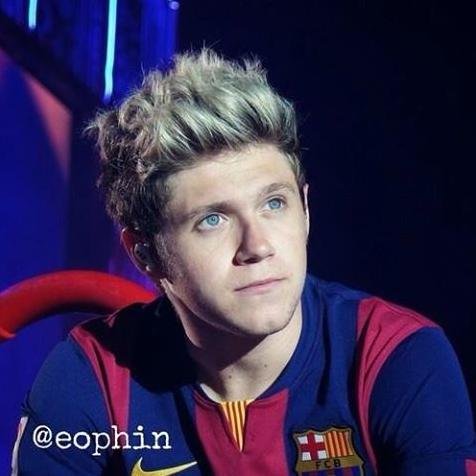I Love One Direction , I'm Proud To Be #Muslim #Egyptian #Directioner , I Adore Niall Horan and I'm So Proud To Be Directioner