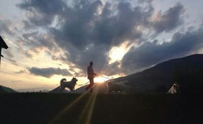 henrimirella's profile picture. 