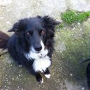 martin beale - @BealeMartin - Twitter