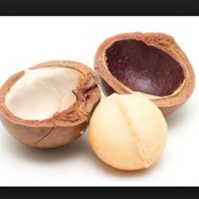 im the nuttiest nut youve ever known