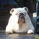 Barbara Doody - @badood55 - Twitter