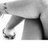 camilapressacco's profile image