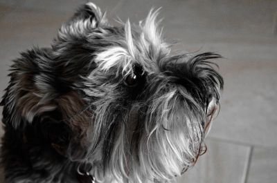 AndrFonta's profile picture. 