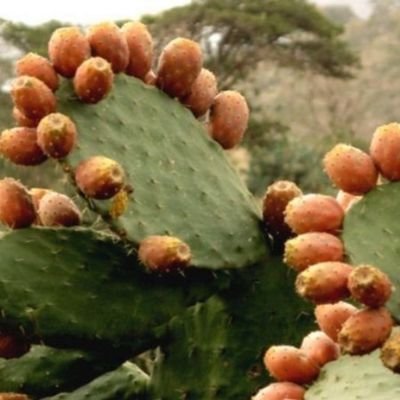 roeshed_76's profile picture. 