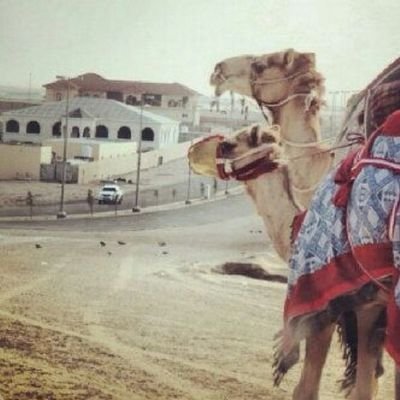 لم اجد حل يحل حالتي حاليا