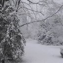 Elizabeth Scully - @EscullyScully - Twitter