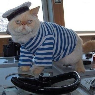 ascione_anton's profile picture. 