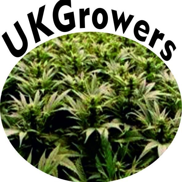UKGrowers's profile picture. Supplying Cannabis to the UK Markets over the internet.