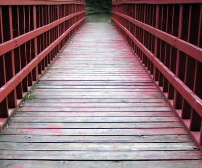 1Francisca8's profile picture. 