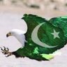 pakisstan1's profile picture. 