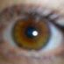 Ingrid Zerbib (@ingridzerbib) Twitter profile photo Ingrid Zerbib (@ingridzerbib) Twitter profile photo