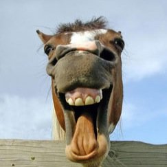 serusio_'s profile picture. 