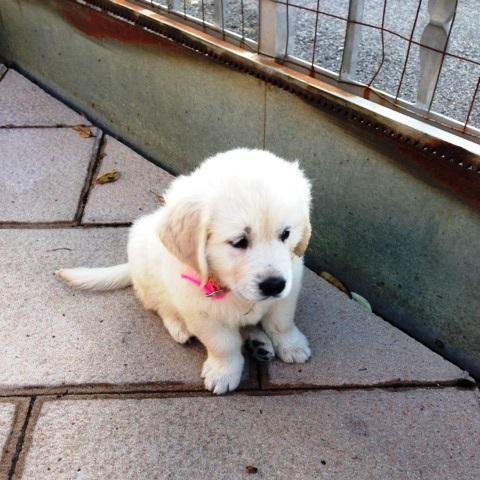 techfree2012's profile picture. 