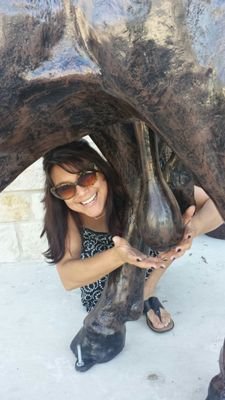 PearoStacey's profile picture. I stick up for animals a lot more than people. Lover of travel.  Vino and creative food make me happy. Smiling and laughter are hugely underrated.