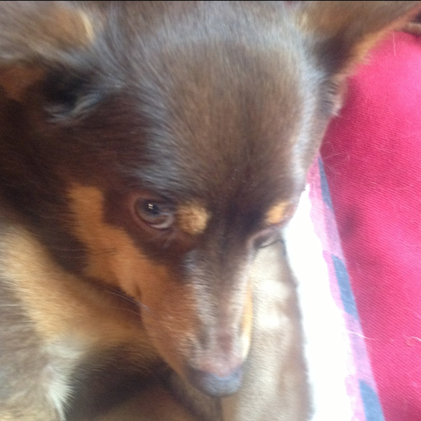 kixr4kids's profile picture. 