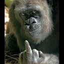 joel bren - @chefjoelb - Twitter