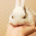 MEKO (@0109Meko) Twitter