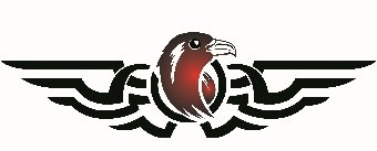 Founded in 2007, Night Hawk Security provides Security Services to businesses that help protect the safety of their employees, visitors, and property.