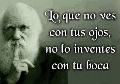 NelkarMartin's profile picture. Salón de Belleza Nelkar'S VIP, Torre Polar PB, Plaza Venezuela