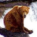 David Pinon - @DpPapabear0321 - Twitter