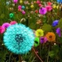 Kelli Burt - @kellib827 - Twitter