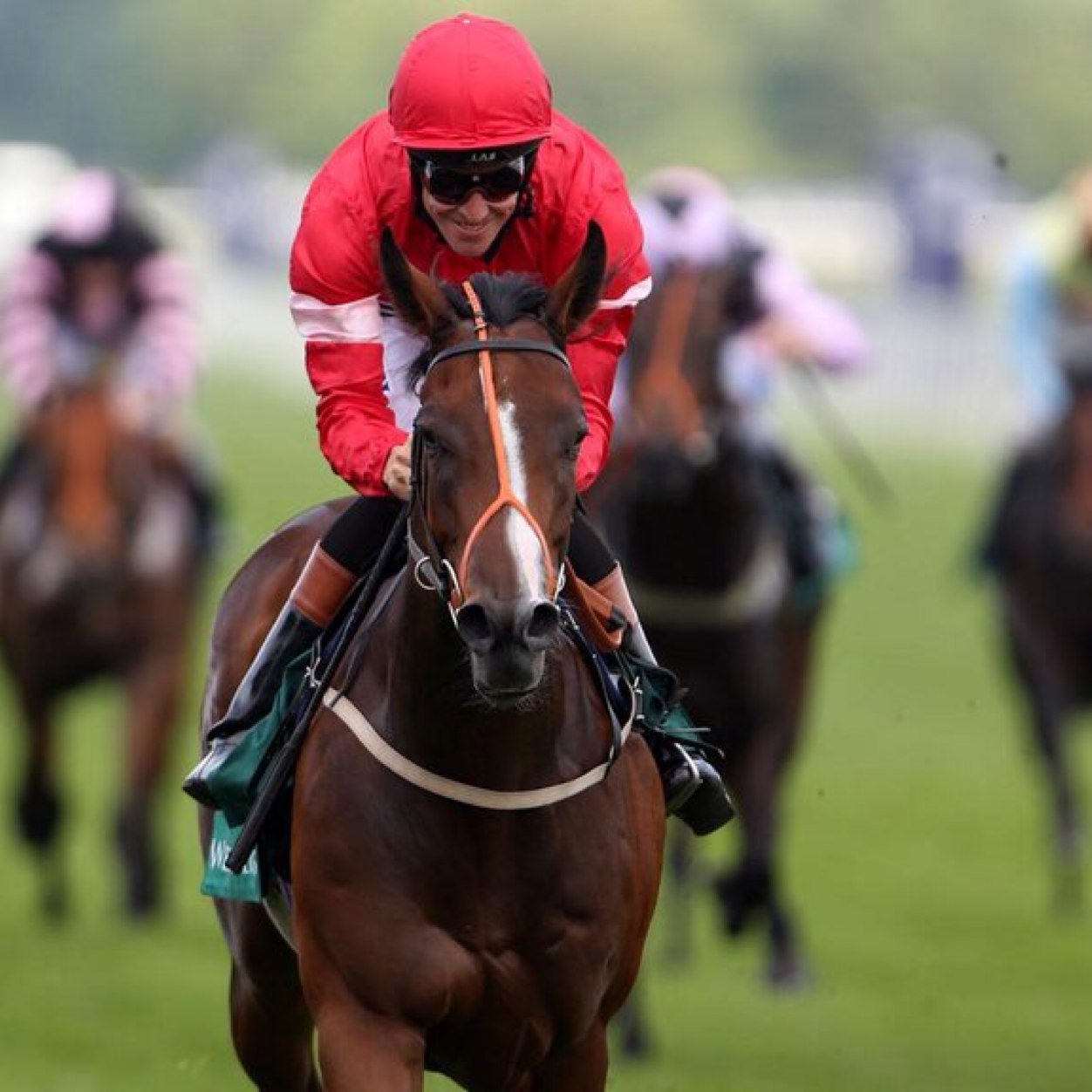 tiggy1104's profile picture. 