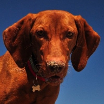 alexzzzzandra's profile picture. 