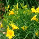 Sharon Otis - @MsOtie - Twitter