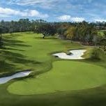 spcsgolf's profile picture. I coach girls' and boys' high school golf.