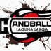 HandballCSLL (@handballcsll) Twitter profile photo