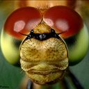 Ty Greene - @TyGreene45 - Twitter