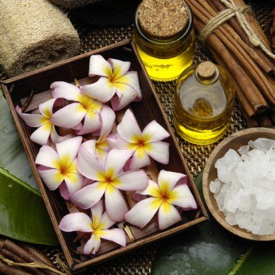 Elke plaats is zo gevonden met Massage Plaats het grootste landelijke massage netwerk van Nederland. Wordt Lid en geef de concurrentie het nakijken !