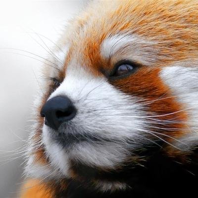 Développeur Web, co-fondateur de @BlogTrotting