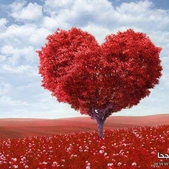 اللهم توفنا وانت راضي عنا يا كريم