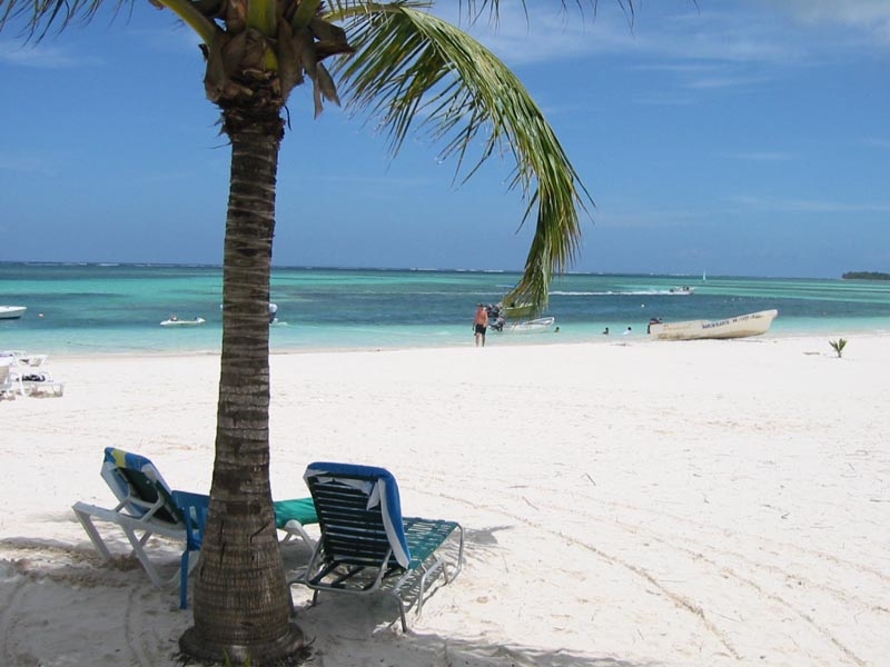 benidorm_im's profile picture. 