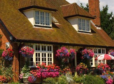 Horns Inn Burt's Hill Wimborne Dorset. Fresh food daily. All Welcome, Dog Friendly
http://t.co/2VG5gm8XXm