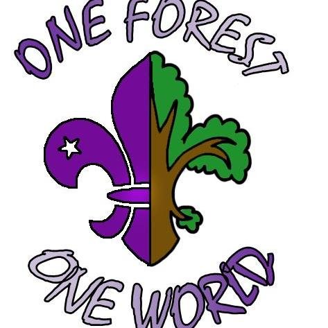 Jóvenes scouts españoles, italianos y portugueses unidos por un mismo objetivo: la promoción de recursos forestales y prevención de incendios.